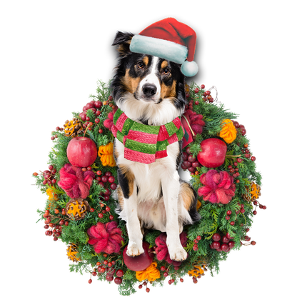 Ornament- Border Collie Christmas Ornament, Happy Christmas Ornament, Car Ornament - Best gifts your whole family