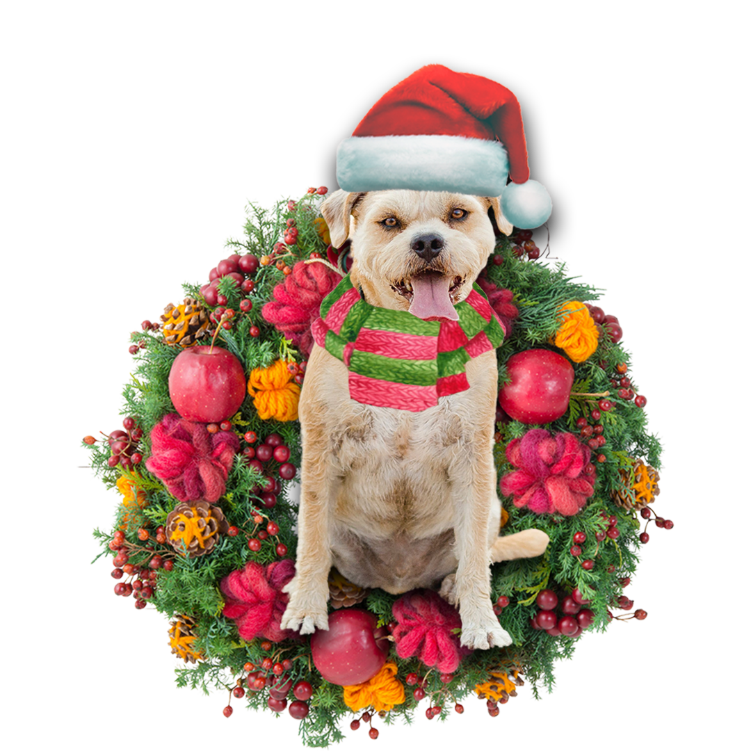Ornament- Border Terrier Christmas Ornament, Happy Christmas Ornament, Car Ornament - Best gifts your whole family
