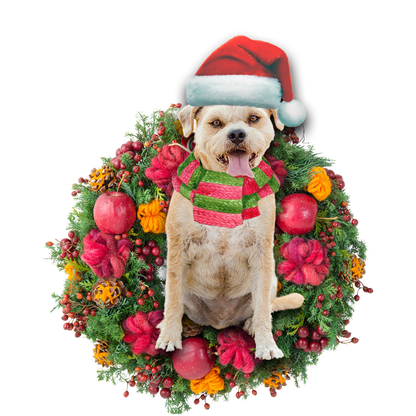 Ornament- Border Terrier Christmas Ornament, Happy Christmas Ornament, Car Ornament - Best gifts your whole family