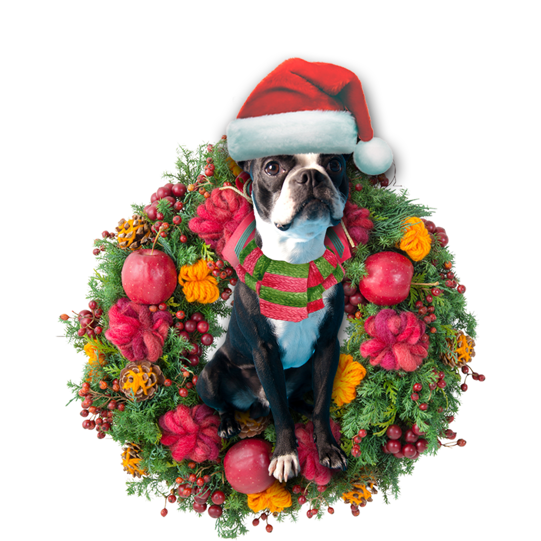 Ornament- Boston Terrier Christmas Ornament, Happy Christmas Ornament, Car Ornament - Best gifts your whole family