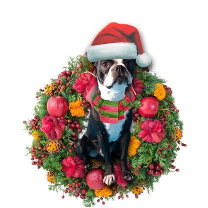 Ornament- Boston Terrier Christmas Ornament, Happy Christmas Ornament, Car Ornament - Best gifts your whole family
