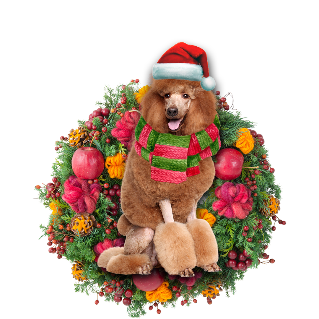 Ornament- Brown Poodle Christmas Ornament, Happy Christmas Ornament, Car Ornament - Best gifts your whole family