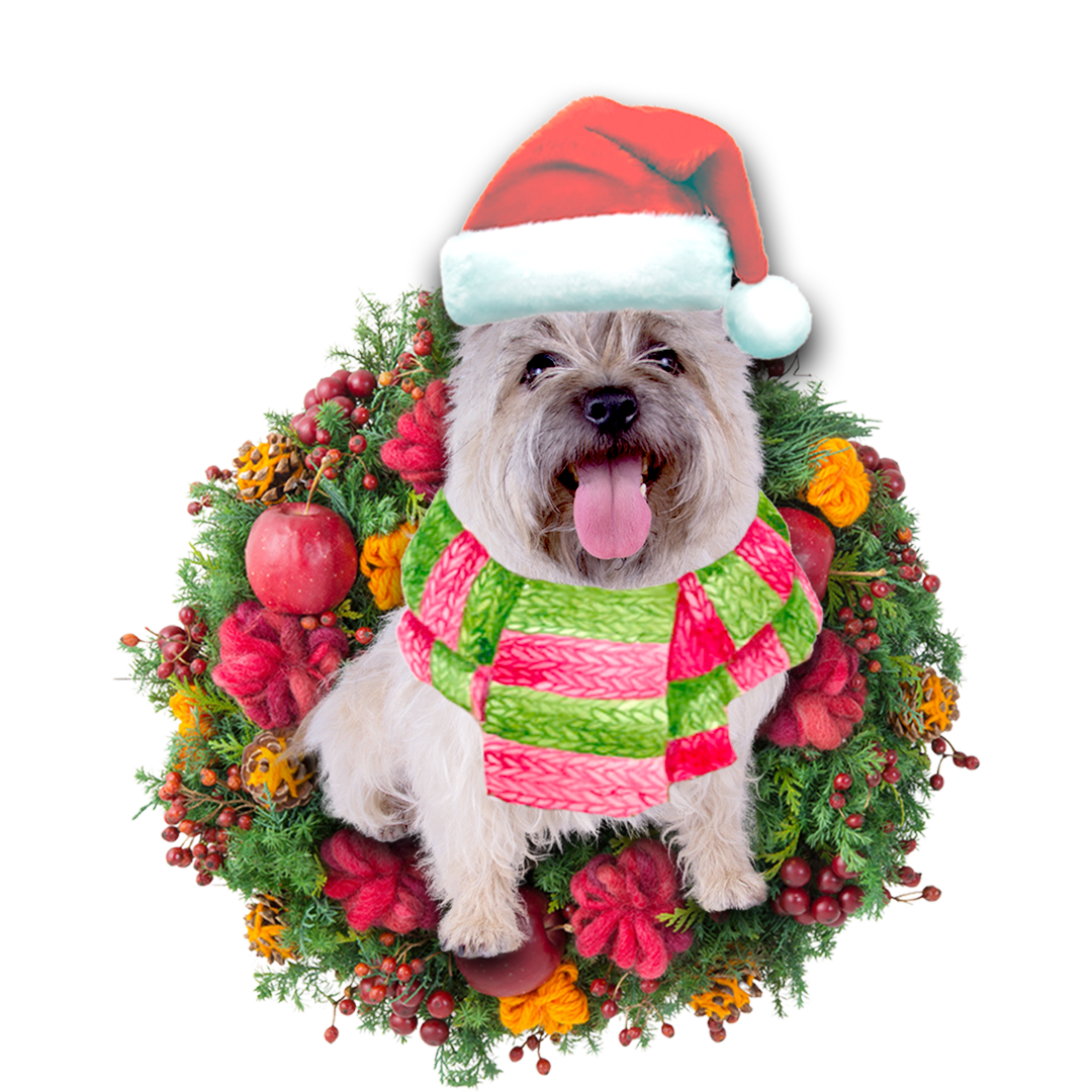 Ornament- Cairn Terrier Christmas Ornament, Happy Christmas Ornament, Car Ornament - Best gifts your whole family