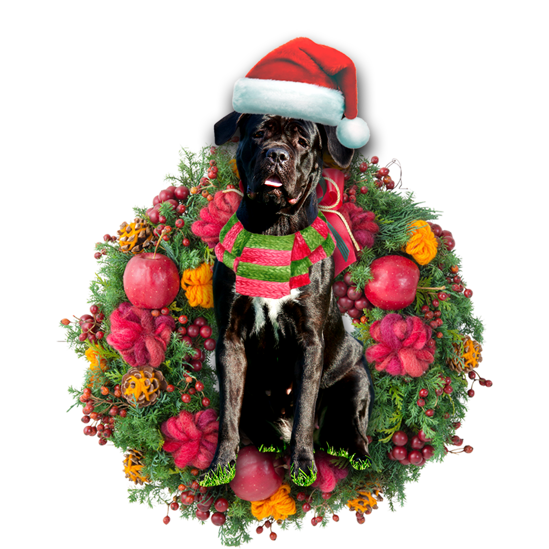 Ornament- Cane Corso Christmas Ornament, Happy Christmas Ornament, Car Ornament - Best gifts your whole family