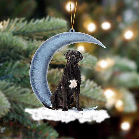 Ornament- Cane Corso Sits On The Moon Hanging Ornament Dog Ornament, Car Ornament, Christmas Ornament - Best gifts your whole family