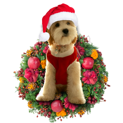 Ornament- Cavadoodle Christmas Ornament, Happy Christmas Ornament, Car Ornament - Best gifts your whole family