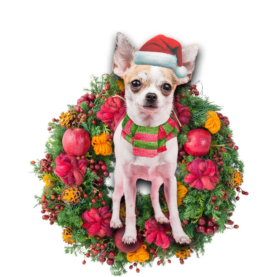 Ornament- Chihuahua Christmas Ornament, Happy Christmas Ornament, Car Ornament - Best gifts your whole family
