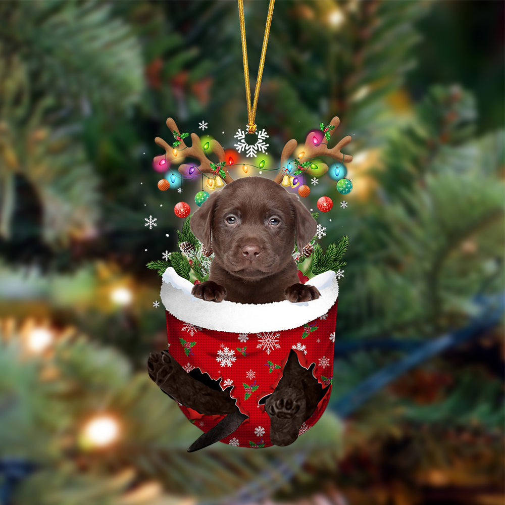 Ornament- CHOCOLATE Labrador-In Christmas Pocket Two Sides Ornament, Happy Christmas Ornament, Car Ornament - Best gifts your whole family