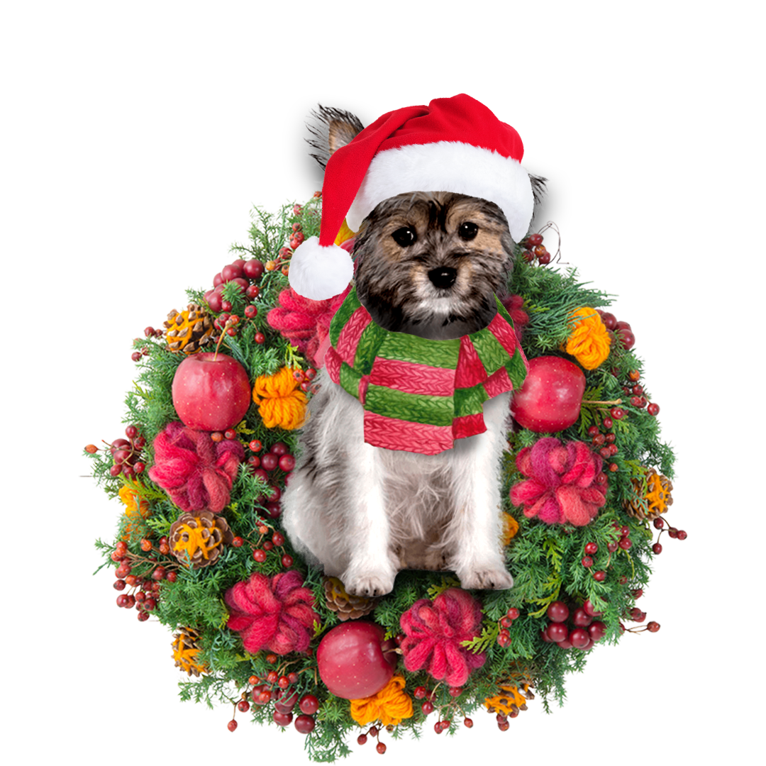 Ornament- Chorkie Christmas Ornament, Happy Christmas Ornament, Car Ornament - Best gifts your whole family