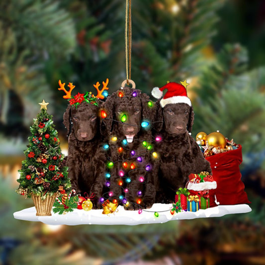 Ornament- Curly Coated Retriever-Christmas Dog Friends Hanging Ornament, Christmas Ornament, Car Ornament - Best gifts your whole family