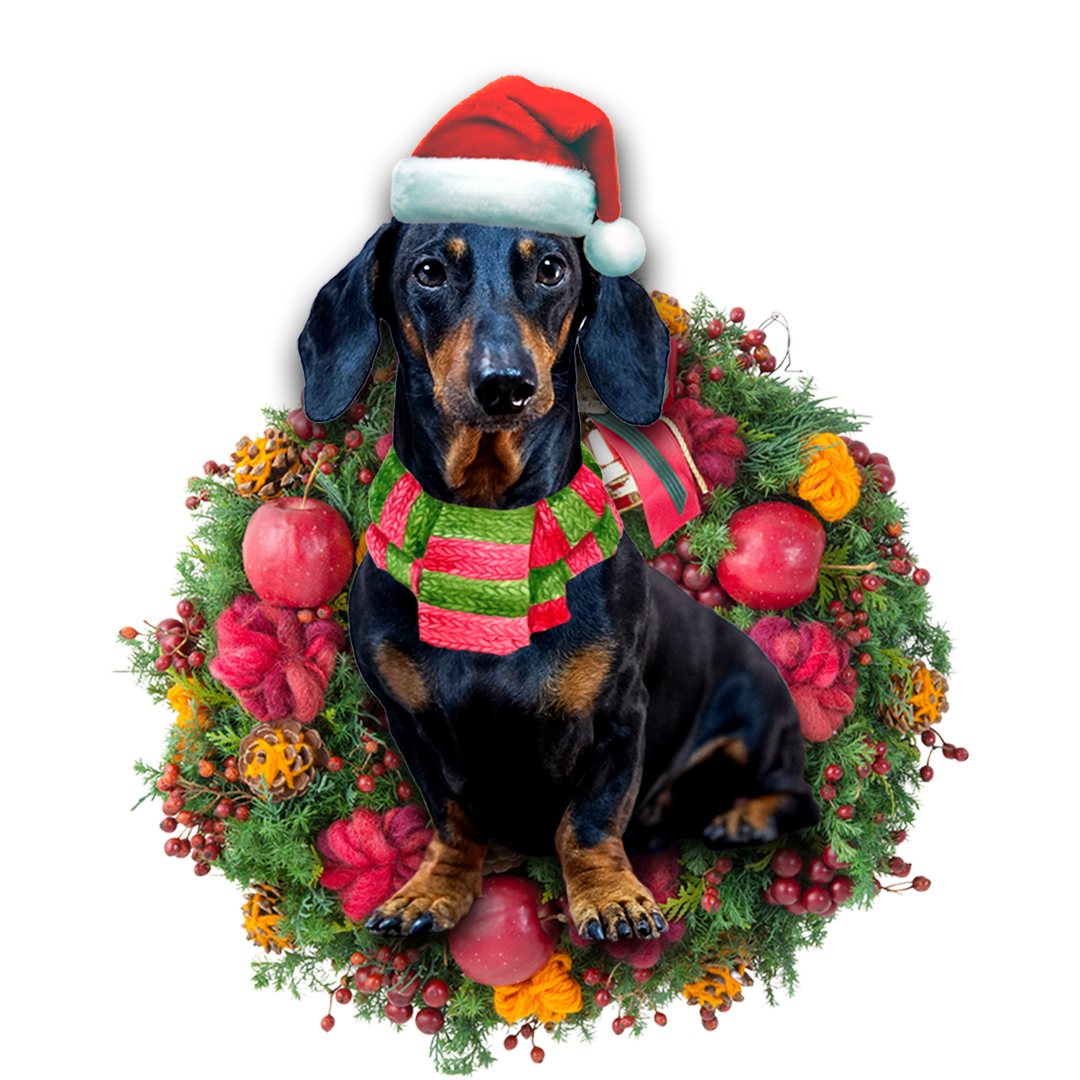 Ornament- Dachshund Christmas Ornament, Happy Christmas Ornament, Car Ornament - Best gifts your whole family