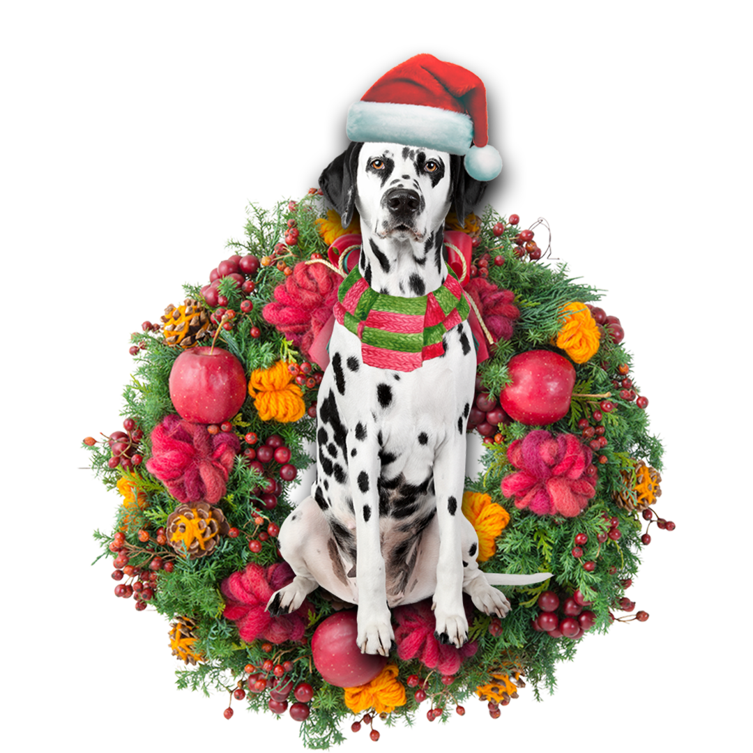 Ornament- Dalmatian Christmas Ornament, Happy Christmas Ornament, Car Ornament - Best gifts your whole family