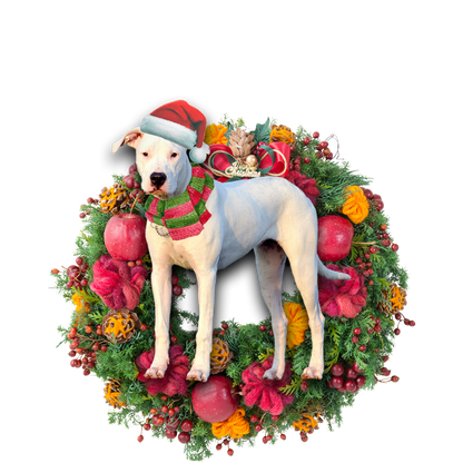 Ornament- Dogo Argentino Christmas Ornament, Happy Christmas Ornament, Car Ornament - Best gifts your whole family