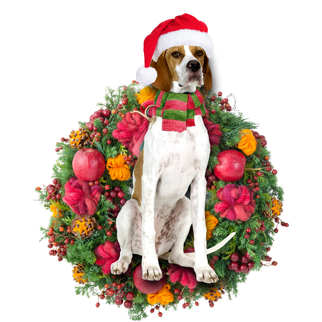 Ornament- English Pointer Christmas Ornament, Happy Christmas Ornament, Car Ornament - Best gifts your whole family