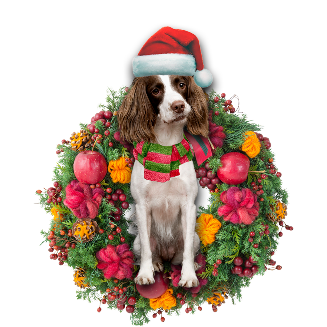 Ornament- English Springer Spaniel Christmas Ornament, Happy Christmas Ornament, Car Ornament - Best gifts your whole family