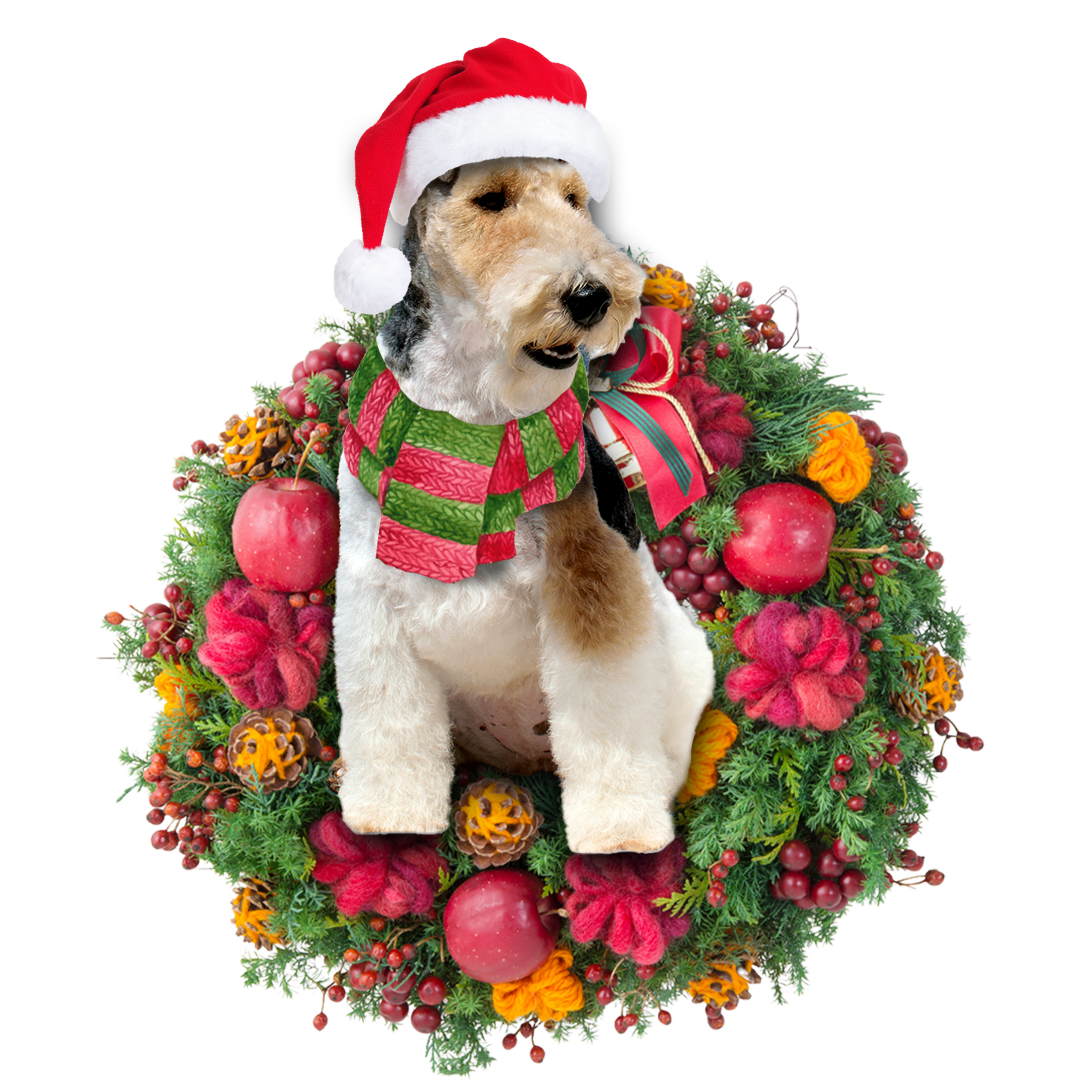 Ornament- Fox Terrier Christmas Ornament, Happy Christmas Ornament, Car Ornament - Best gifts your whole family