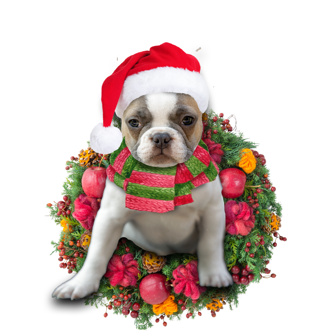 Ornament- French Bulldog Christmas Ornament, Happy Christmas Ornament, Car Ornament - Best gifts your whole family