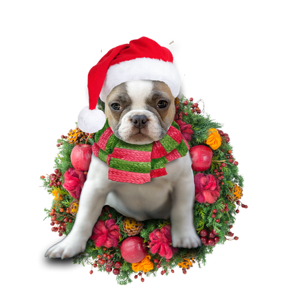 Ornament- French Bulldog Christmas Ornament, Happy Christmas Ornament, Car Ornament - Best gifts your whole family