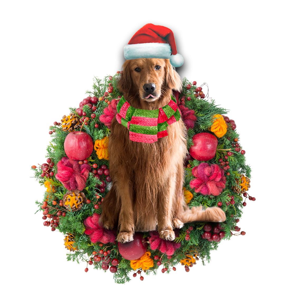 Ornament- Golden Retriever Christmas Ornament, Happy Christmas Ornament, Car Ornament - Best gifts your whole family