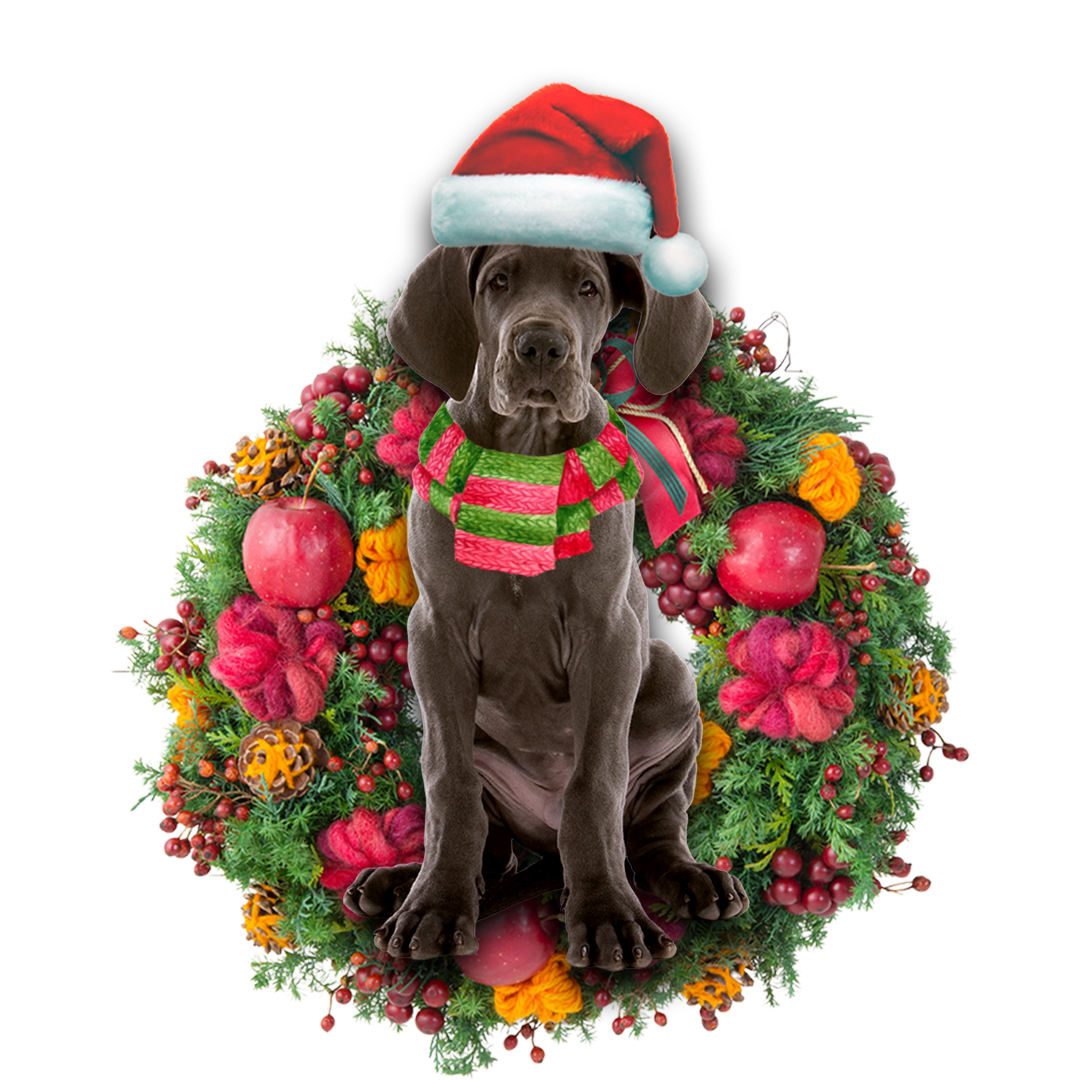 Ornament- Great Dane Christmas Ornament, Happy Christmas Ornament, Car Ornament - Best gifts your whole family