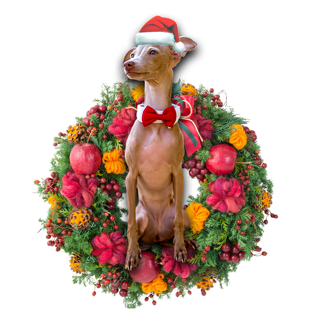 Ornament- Greyhound Christmas Ornament, Happy Christmas Ornament, Car Ornament - Best gifts your whole family