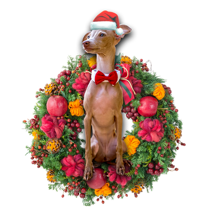Ornament- Greyhound Christmas Ornament, Happy Christmas Ornament, Car Ornament - Best gifts your whole family