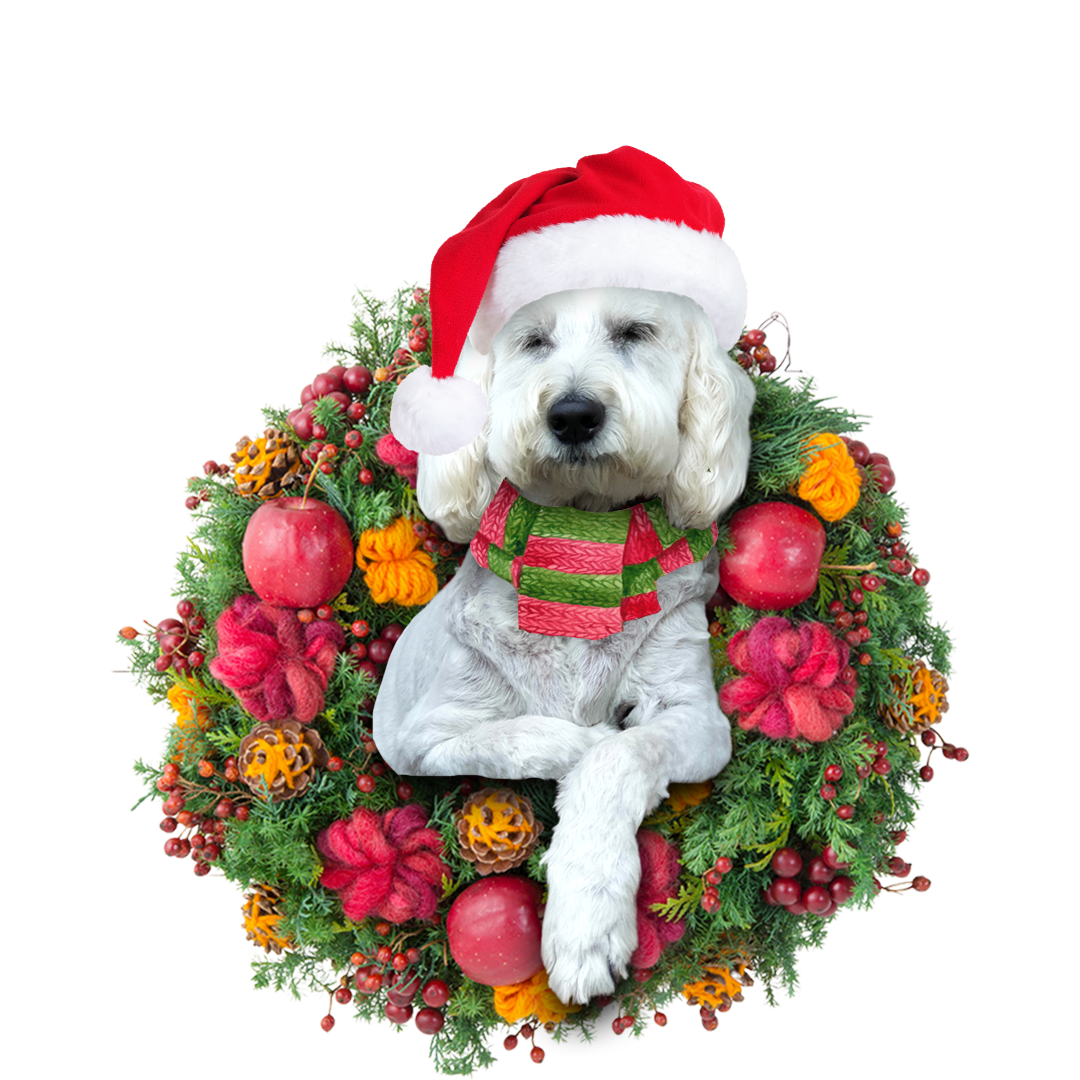 Ornament- Groodle Christmas Ornament, Happy Christmas Ornament, Car Ornament - Best gifts your whole family