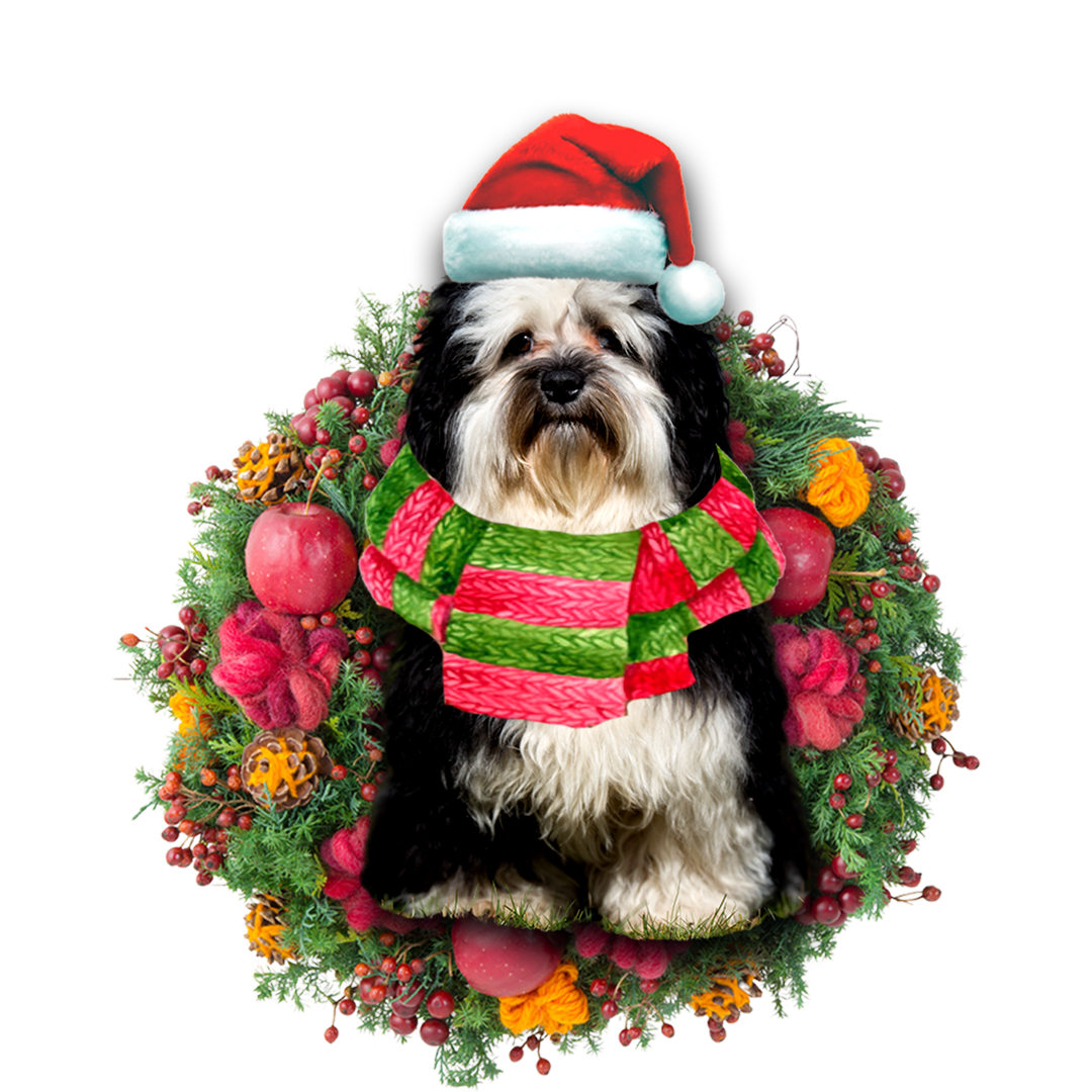 Ornament- Havanese Christmas Ornament, Happy Christmas Ornament, Car Ornament - Best gifts your whole family
