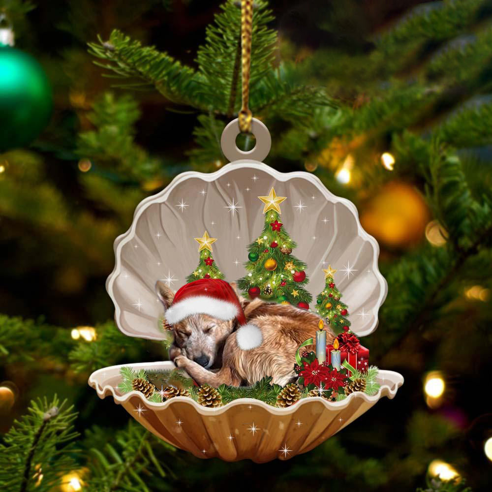 Ornament- Heeler3-Sleeping Pearl in Christmas Two Sided Ornament, Happy Christmas Ornament, Car Ornament - Best gifts your whole family