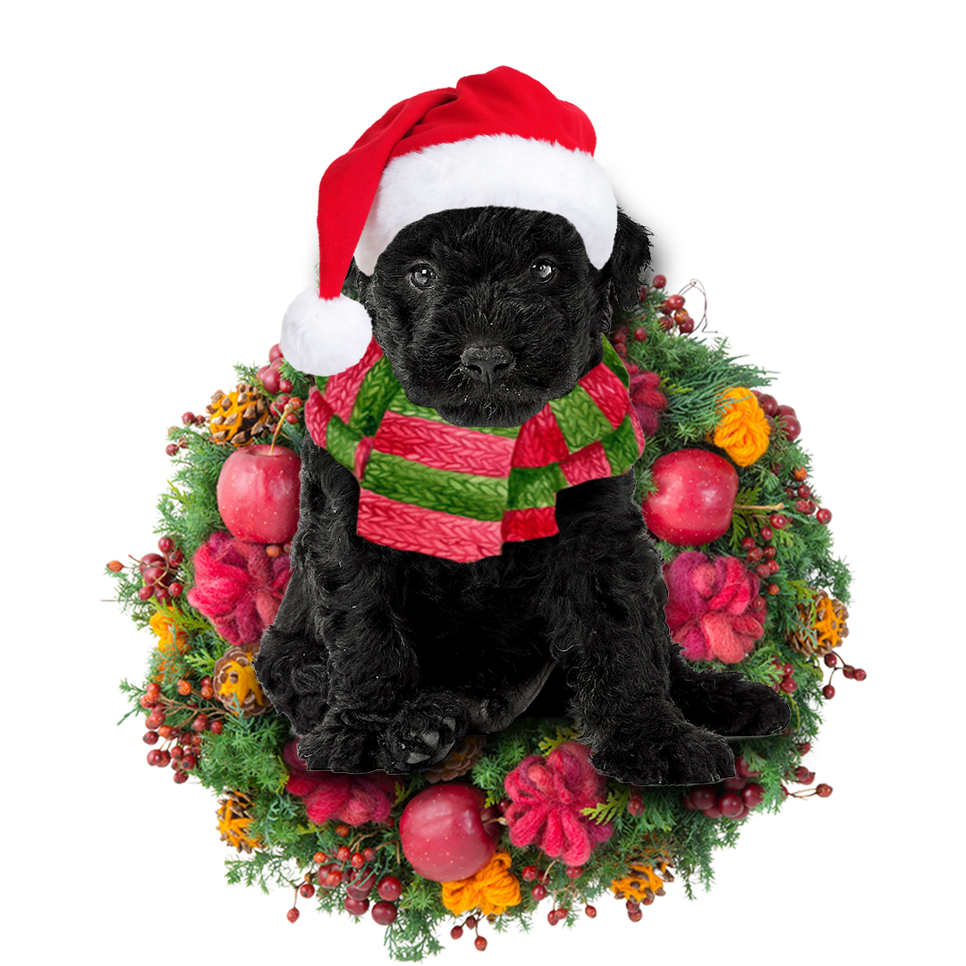 Ornament- Hungarian Puli Christmas Ornament, Happy Christmas Ornament, Car Ornament - Best gifts your whole family