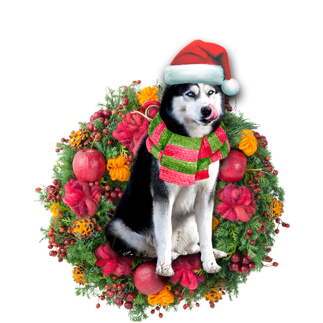 Ornament- Husky Christmas Ornament, Happy Christmas Ornament, Car Ornament - Best gifts your whole family