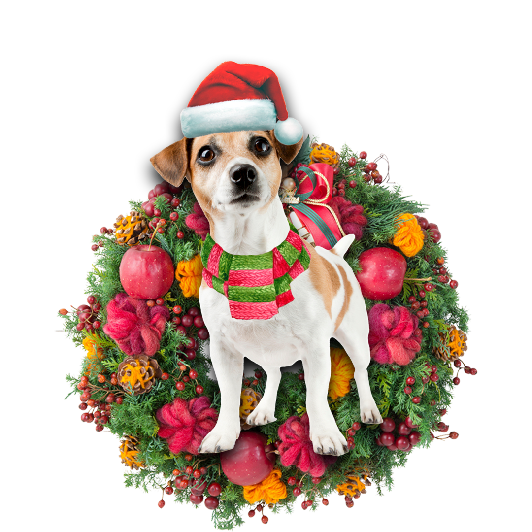 Ornament- Jack Russell Terrier Christmas Ornament, Happy Christmas Ornament, Car Ornament - Best gifts your whole family
