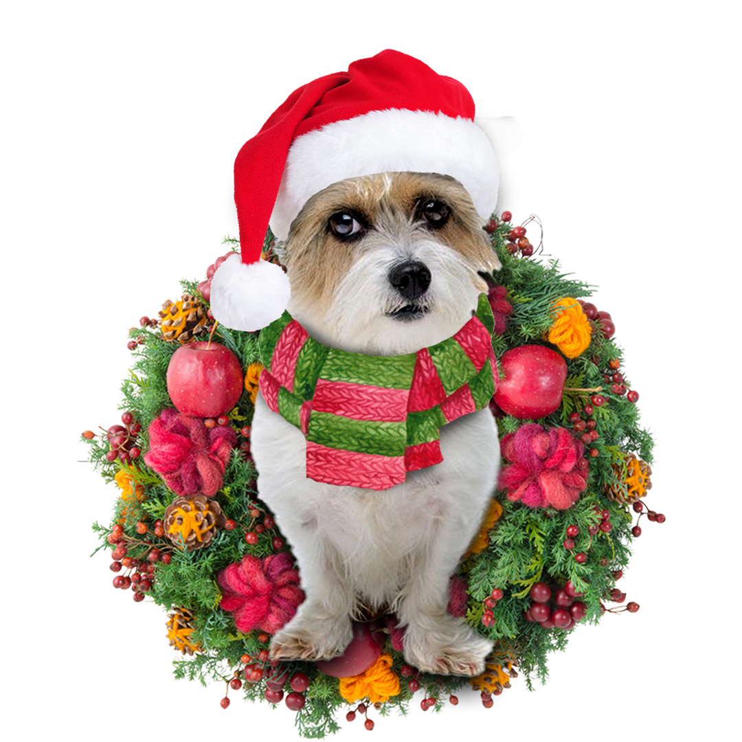 Ornament- Jackapoo Christmas Ornament, Happy Christmas Ornament, Car Ornament - Best gifts your whole family