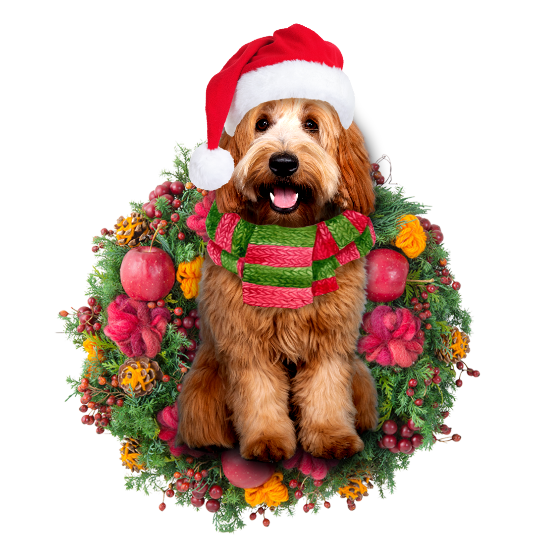 Ornament- Labradoodle Christmas Ornament, Happy Christmas Ornament, Car Ornament - Best gifts your whole family