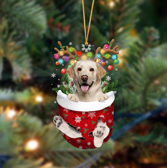 Ornament- Labrador-In Christmas Pocket Two Sides Ornament, Happy Christmas Ornament, Car Ornament - Best gifts your whole family