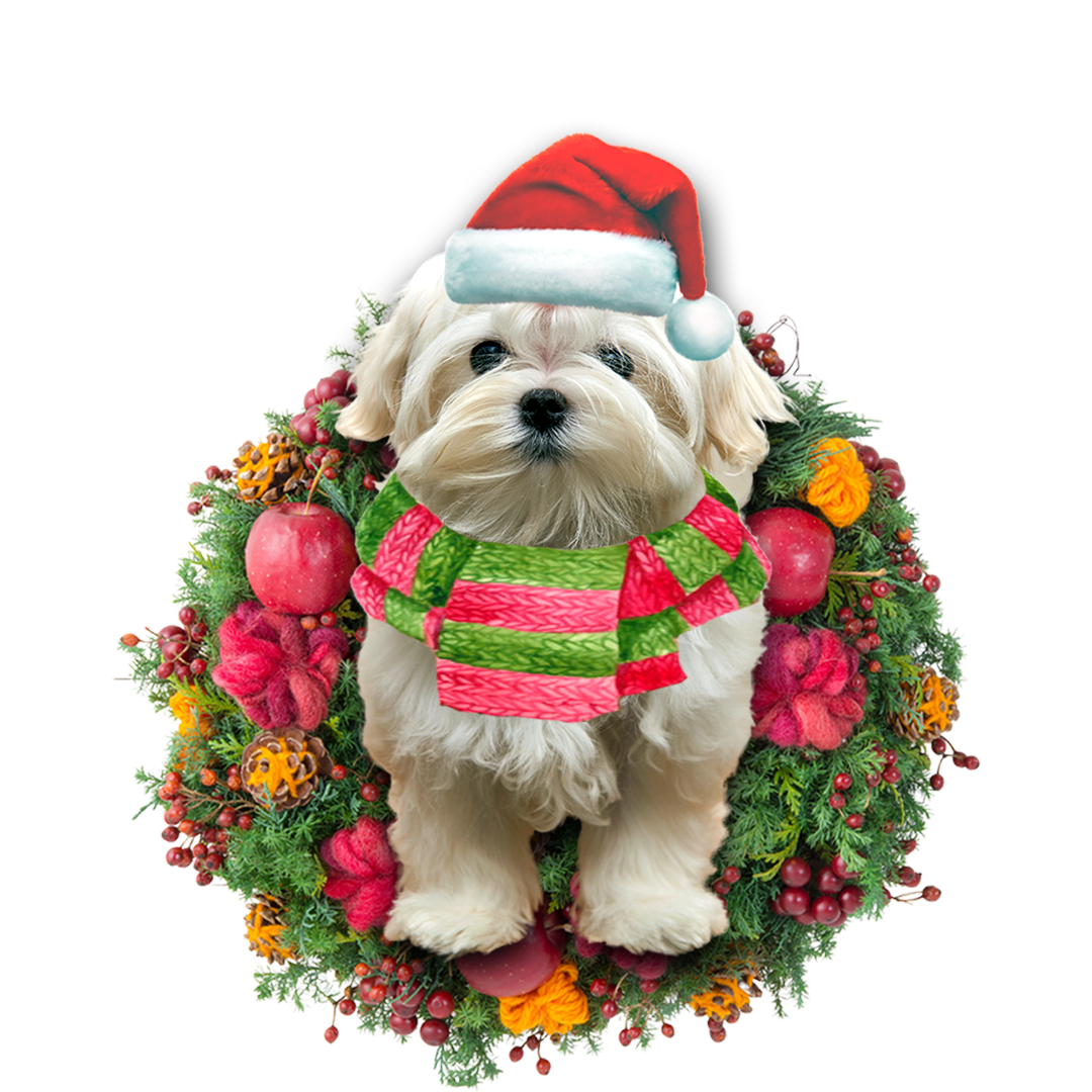 Ornament- Maltese Christmas Ornament, Happy Christmas Ornament, Car Ornament - Best gifts your whole family