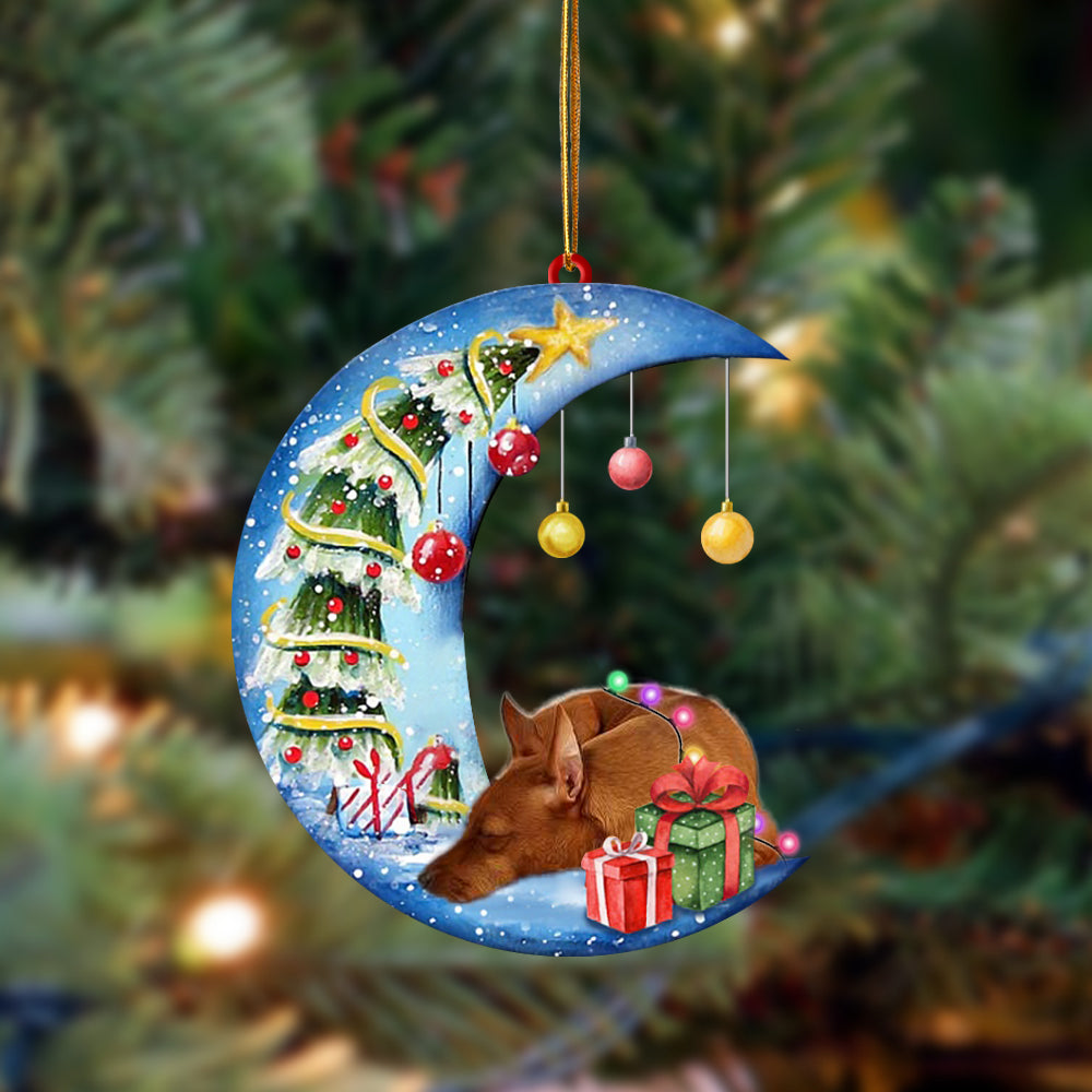 Ornament- Miniature Pinscher-Sleep On The Moon Christmas Two Sided Ornament, Christmas Ornament, Car Ornament - Best gifts your whole family