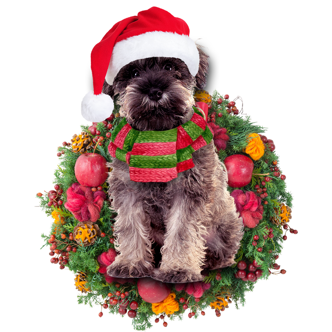 Ornament- Miniature Schnauzer Christmas Ornament, Happy Christmas Ornament, Car Ornament - Best gifts your whole family