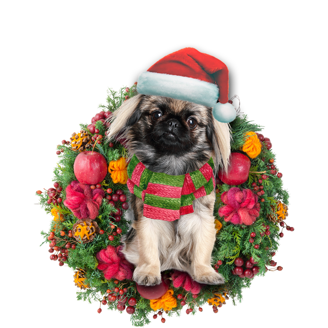 Ornament- Pekingese Christmas Ornament, Happy Christmas Ornament, Car Ornament - Best gifts your whole family