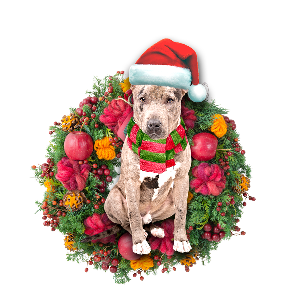 Ornament- Pit Bull Christmas Ornament, Happy Christmas Ornament, Car Ornament - Best gifts your whole family
