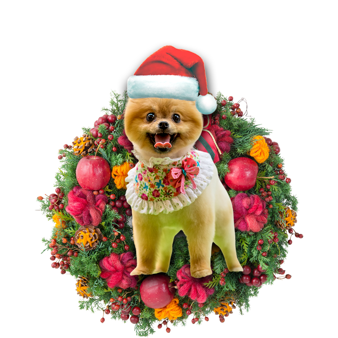 Ornament- Pomeranian Christmas Ornament, Happy Christmas Ornament, Car Ornament - Best gifts your whole family