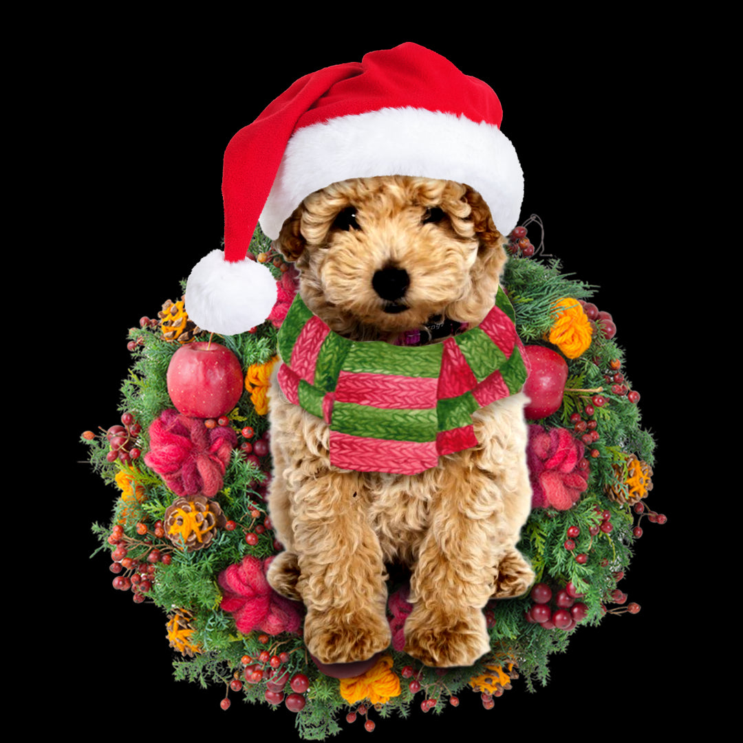 Ornament- Poodle Christmas Ornament, Happy Christmas Ornament, Car Ornament - Best gifts your whole family