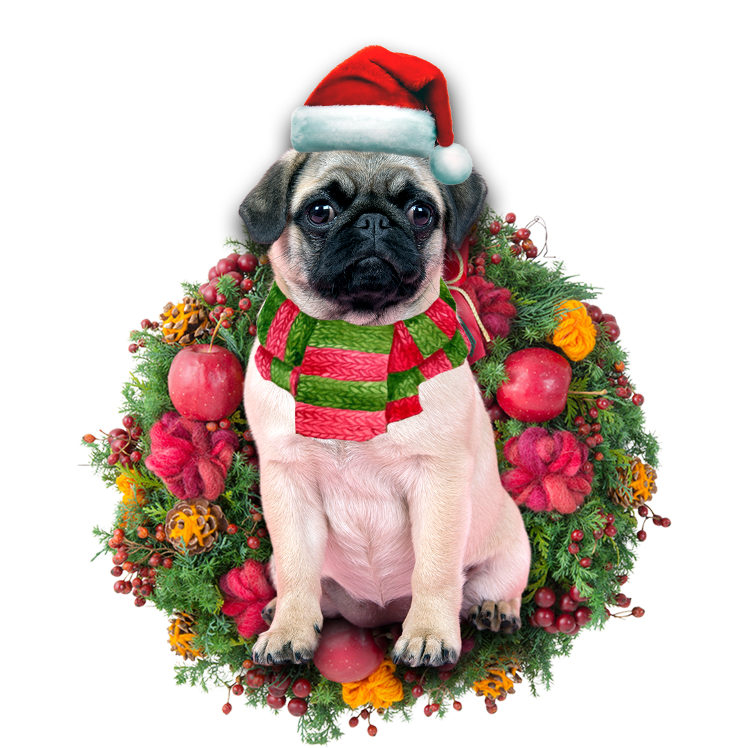 Ornament- Pug Christmas Ornament, Happy Christmas Ornament, Car Ornament - Best gifts your whole family