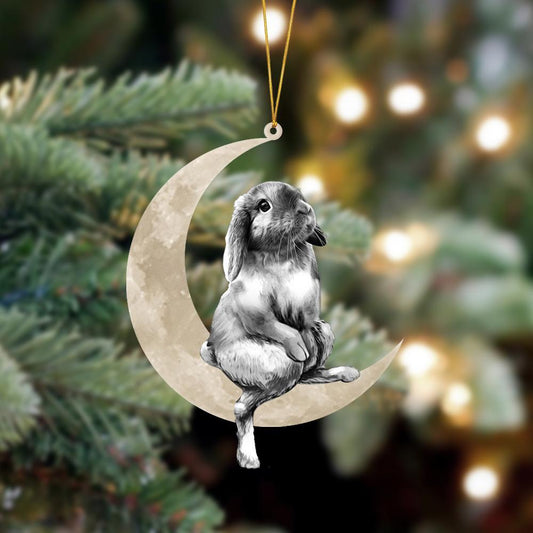 Ornament- Rabbit Sits On The Moon Hanging Ornament Dog Ornament, Car Ornament, Christmas Ornament - Best gifts your whole family