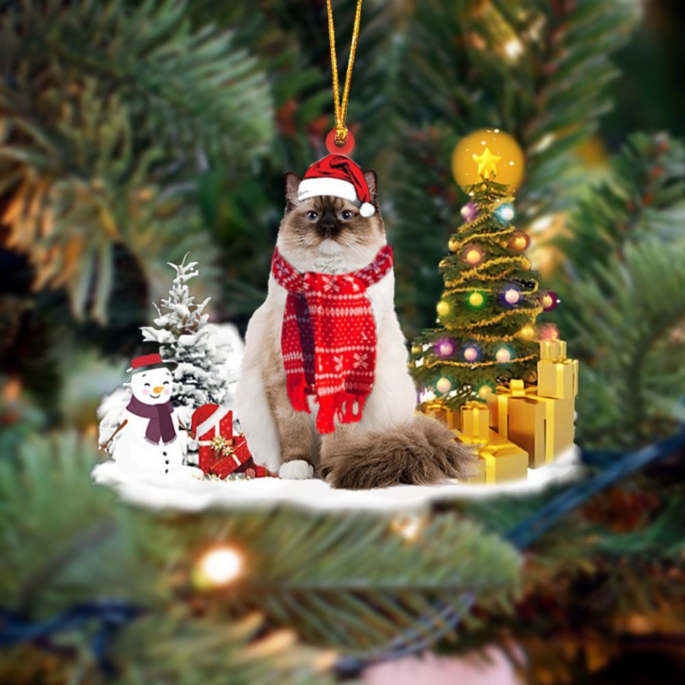 Ornament- Ragdoll Cat Christmas Ornament Dog Ornament, Car Ornament, Christmas Ornament - Best gifts your whole family