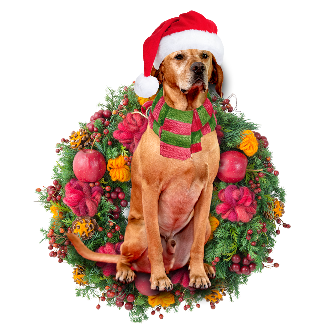 Ornament- Red Labrador Christmas Ornament, Happy Christmas Ornament, Car Ornament - Best gifts your whole family