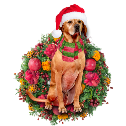 Ornament- Red Labrador Christmas Ornament, Happy Christmas Ornament, Car Ornament - Best gifts your whole family