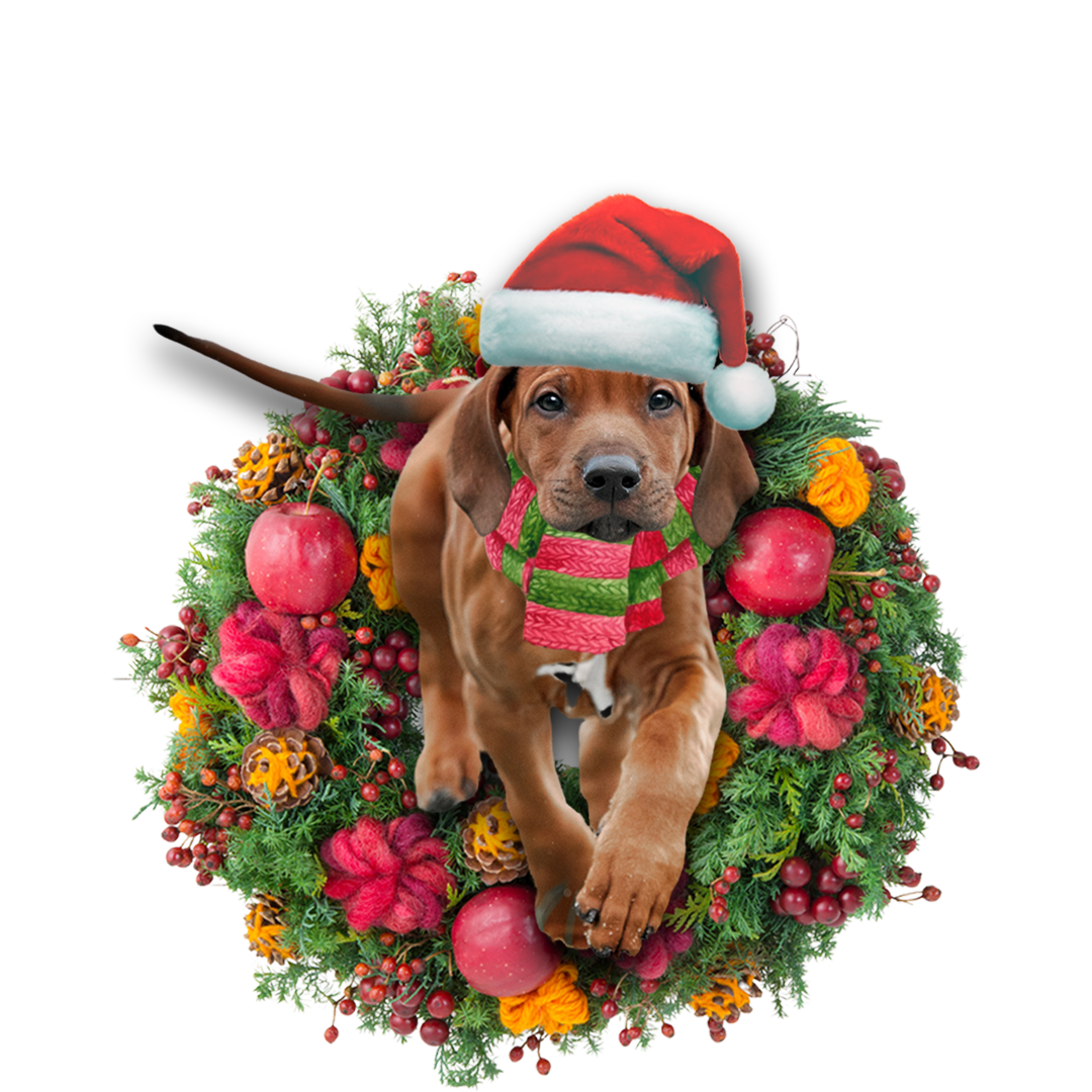 Ornament- Rhodesian Ridgeback Christmas Ornament, Happy Christmas Ornament, Car Ornament - Best gifts your whole family
