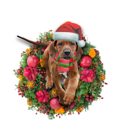 Ornament- Rhodesian Ridgeback Christmas Ornament, Happy Christmas Ornament, Car Ornament - Best gifts your whole family