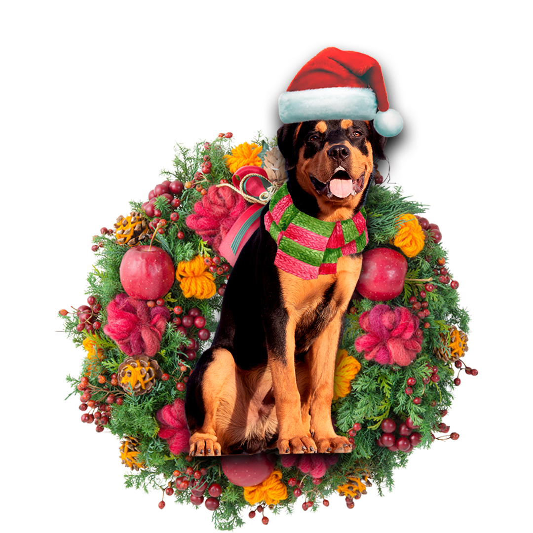 Ornament- Rottweiler Christmas Ornament, Happy Christmas Ornament, Car Ornament - Best gifts your whole family